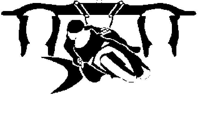 logo_raduno logo_raduno